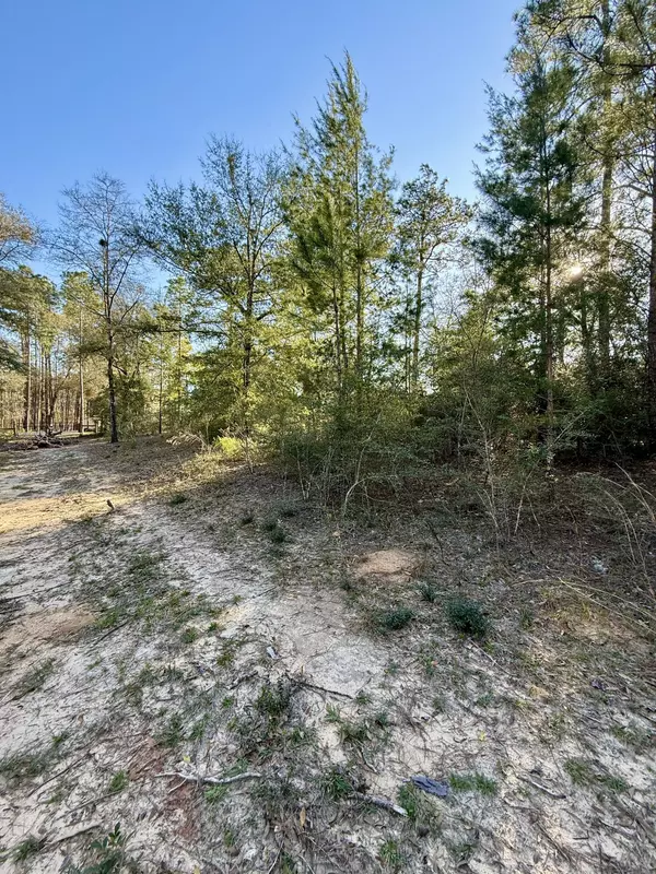 Defuniak Springs, FL 32433,3.45 Acres Bob Mccaskill Drive
