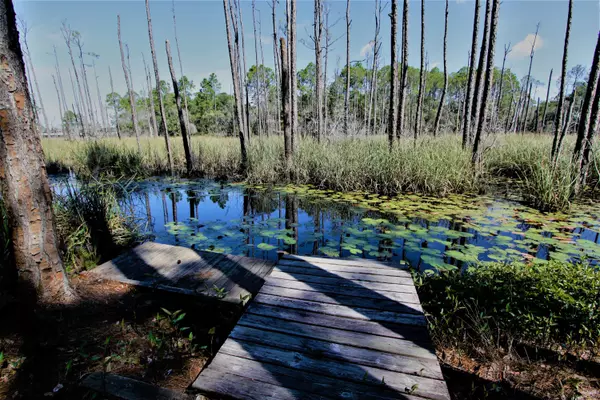 Santa Rosa Beach, FL 32459,368 Canal Street