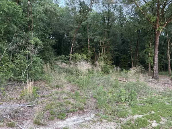 Defuniak Springs, FL 32433,Lot 38 Holly Lake Court