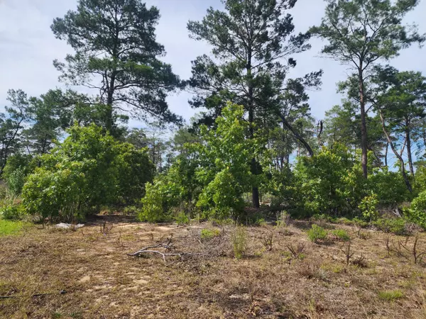 Freeport, FL 32439,60 Corkwood Court  #Ph 5 lot 9