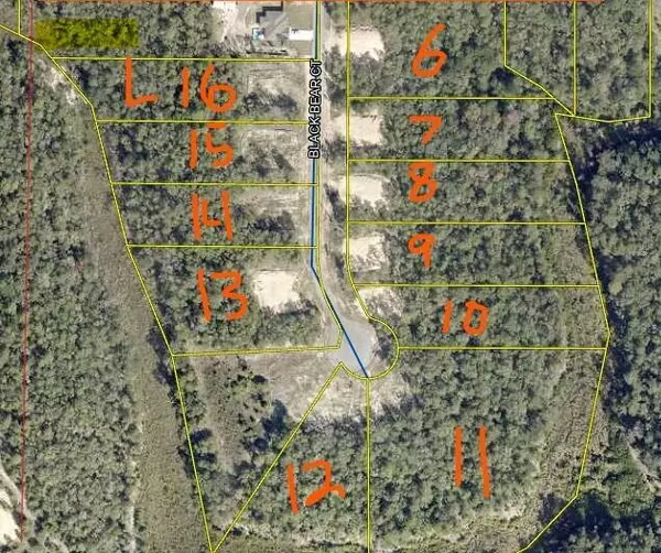 Defuniak Springs, FL 32435,Lot 7 Black Bear Court