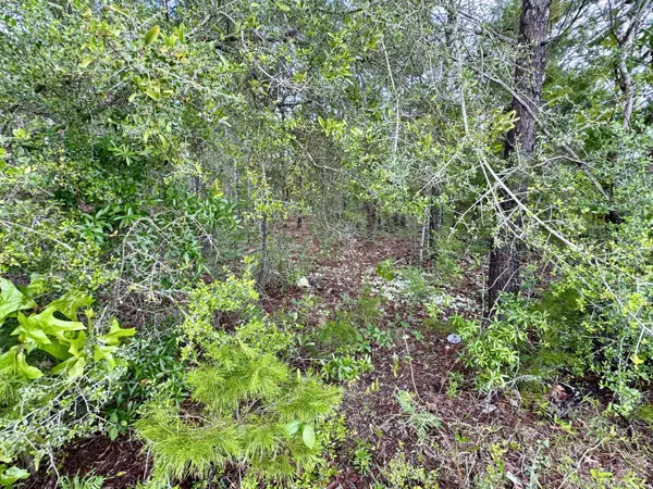 Defuniak Springs, FL 32433,Lot 24 E Tiger Lily Lane
