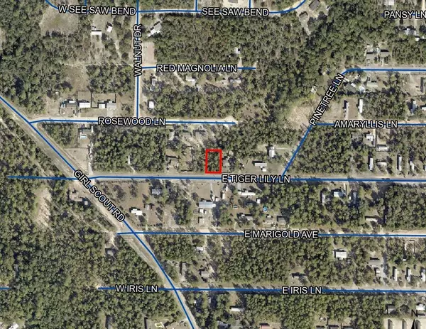 Defuniak Springs, FL 32433,Lot 24 E Tiger Lily Lane