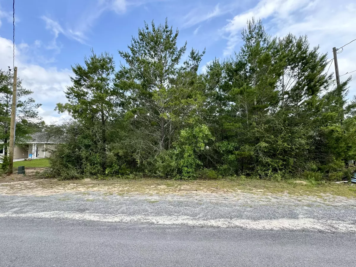 Defuniak Springs, FL 32433,Lot 24 E Tiger Lily Lane