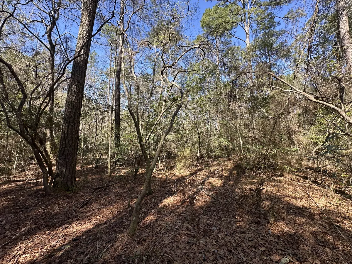 Ponce De Leon, FL 32455,Lot 15 Coon Bottom Estates