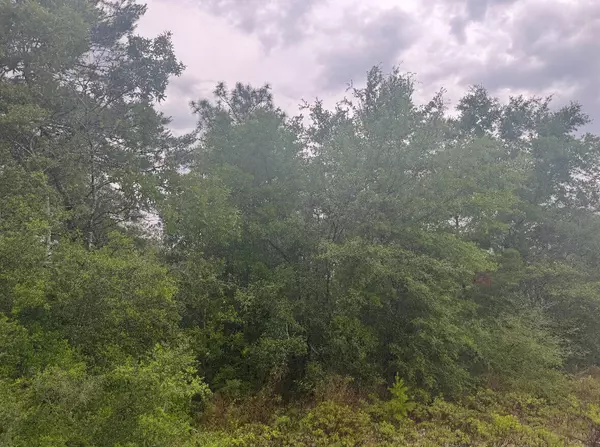 Defuniak Springs, FL 32433,Lot 5 Round Table Road