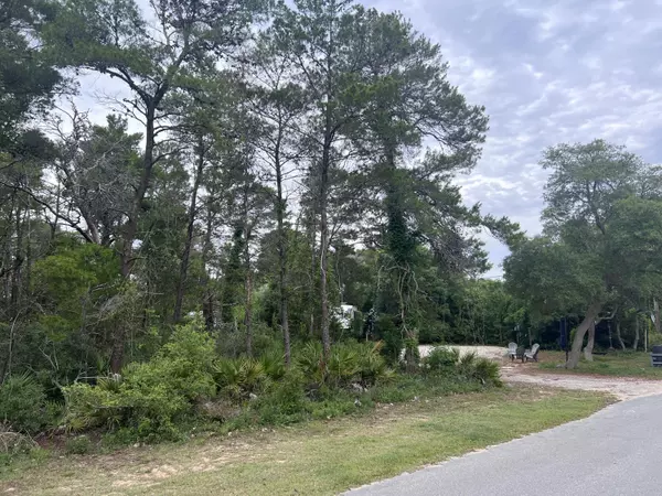 Inlet Beach, FL 32461,19 Freedom Way