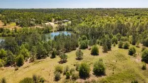 Crestview, FL 32536,24.66 ac Currie Road  #Parcel F