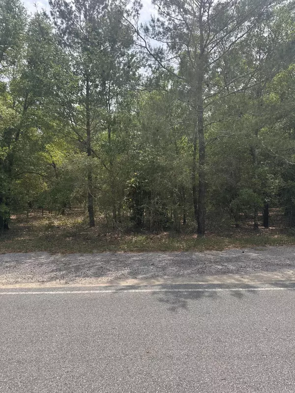 Lot 14 Blk 18 Windflower Street, Defuniak Springs, FL 32433
