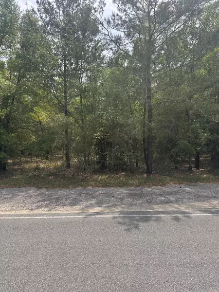 Lot 14 Blk 18 Windflower Street, Defuniak Springs, FL 32433