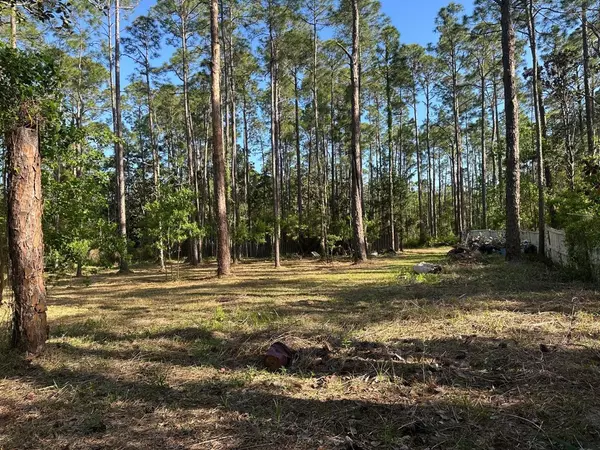 Santa Rosa Beach, FL 32459,Lots 13-15 Harley Rd
