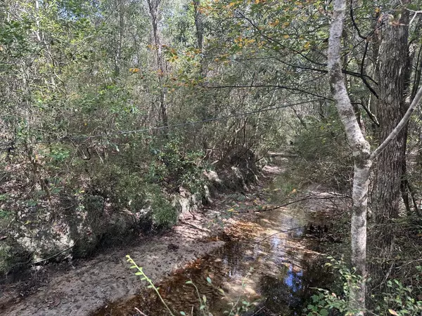 40 AC Lacey Lane, Crestview, FL 32536