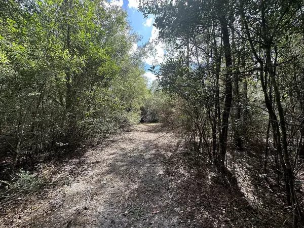 Crestview, FL 32536,40 AC Lacey Lane