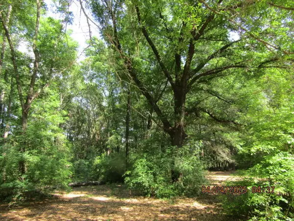 Holt, FL 32564,12495 Highway 90