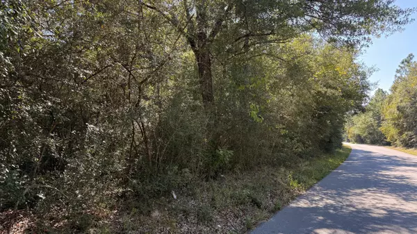 Crestview, FL 32539,TBD Painter Branch Road