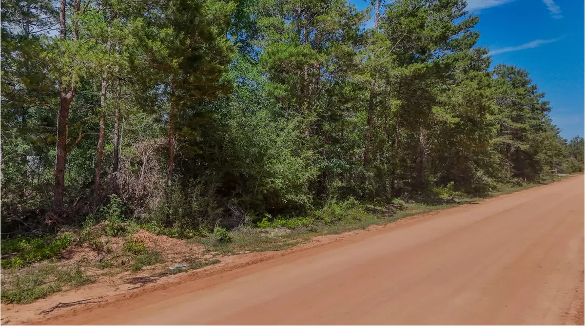 Defuniak Springs, FL 32433,TBD W Juniper West Avenue