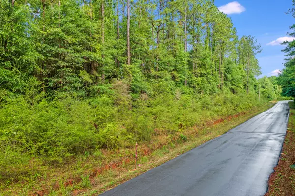 Laurel Hill, FL 32567,6.12 AC Clary Road