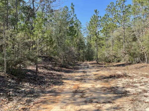 Defuniak Springs, FL 32433,1Ac- Lot 7 Strong Bishop Way