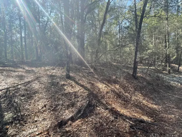 Defuniak Springs, FL 32433,1Ac- Lot 7 Strong Bishop Way