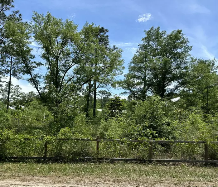 Lot 4 W Renoir Road, Defuniak Springs, FL 32433