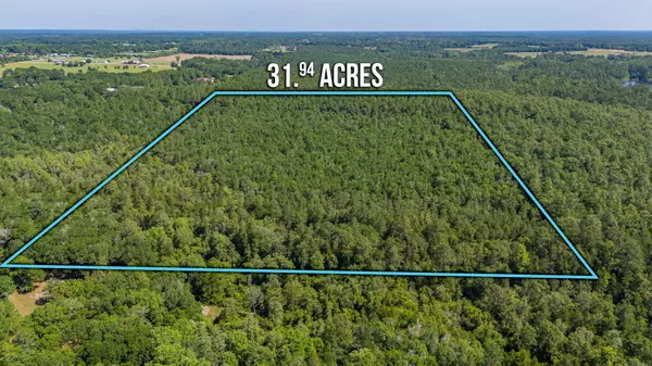 31 acres Canyon Trail, Baker, FL 32531