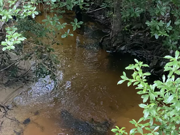 Baker, FL 32531,31 acres Canyon Trail