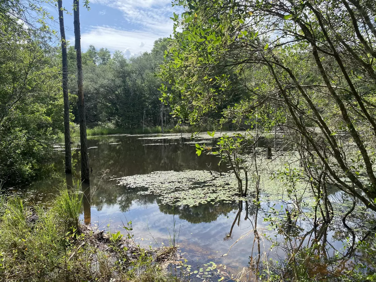 Baker, FL 32531,20 acres Canyon Trail