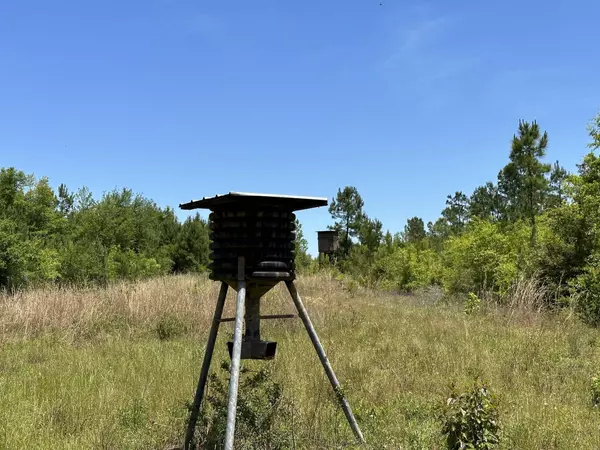 Laurel Hill, FL 32567,92+/- ac Frost lane