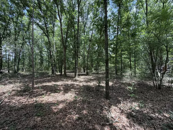 Harold, FL 32563,TBD US-90