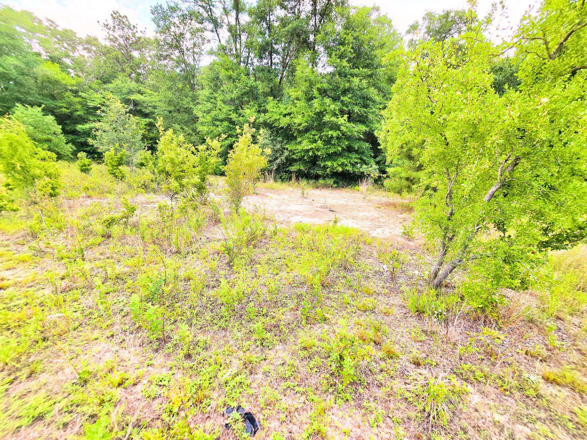 Crestview, FL 32539,7.97 ACRES LAKE ELLA RD Road