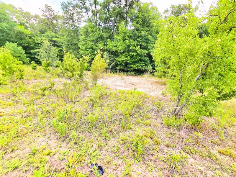 TBD Lake Ella Road, Crestview, FL 32539