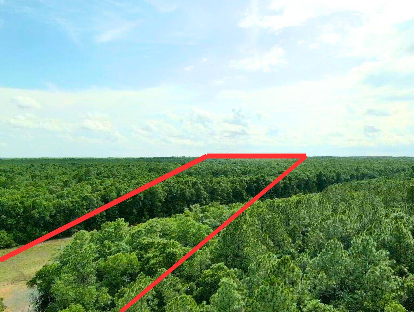 Crestview, FL 32539,7.97 ACRES LAKE ELLA RD Road