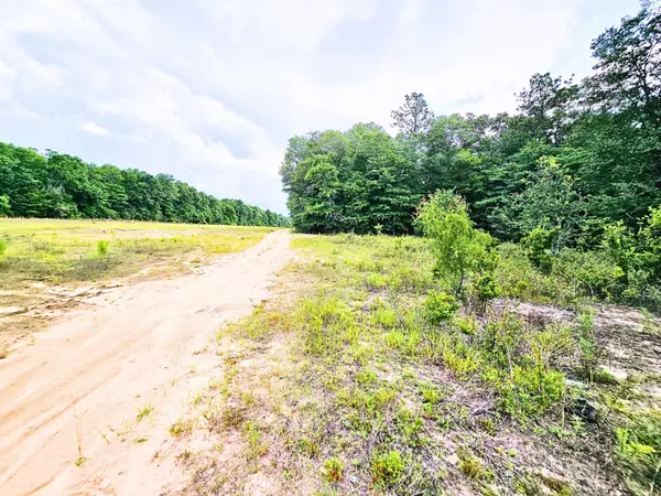 Crestview, FL 32539,TBD Lake Ella Road