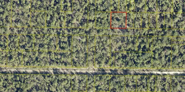 Defuniak Springs, FL 32433,Lots 17-20 6th Street