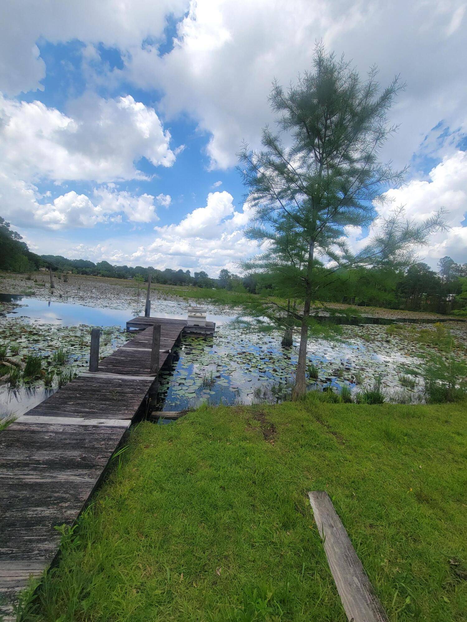 Defuniak Springs, FL 32433,1989 Juniper Lake Road
