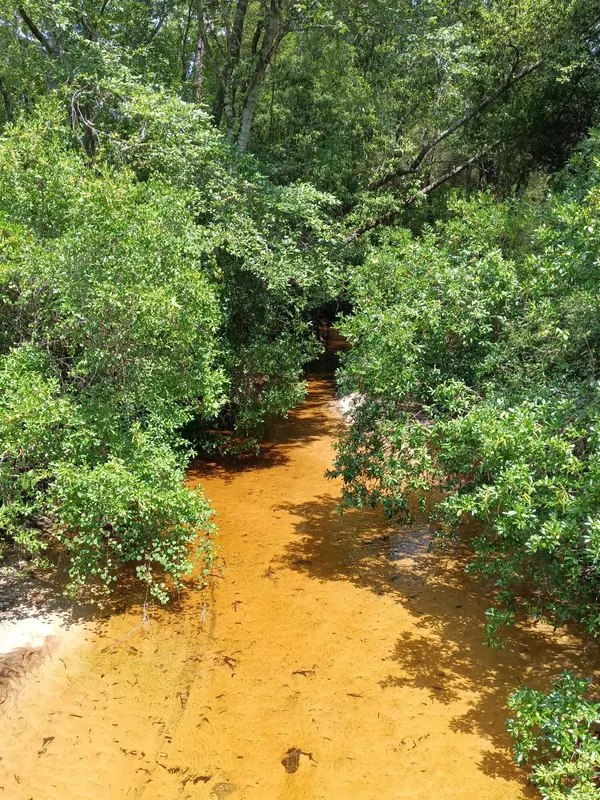 Defuniak Springs, FL 32433,xxx Kings Lake Road
