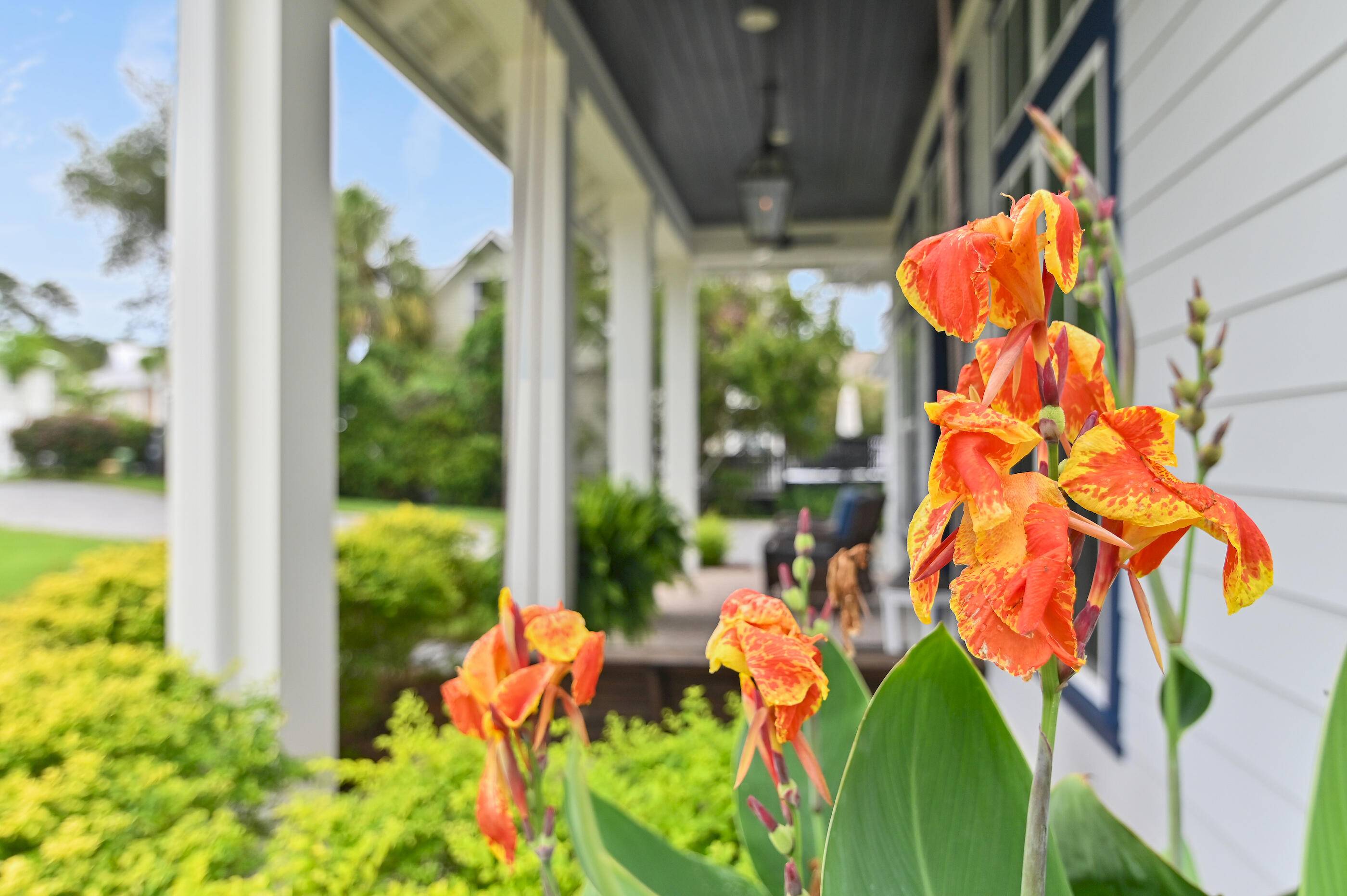 Santa Rosa Beach, FL 32459,286 Tradewinds Drive