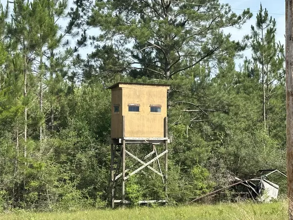 Baker, FL 32531,40 ac +/- Old River Road