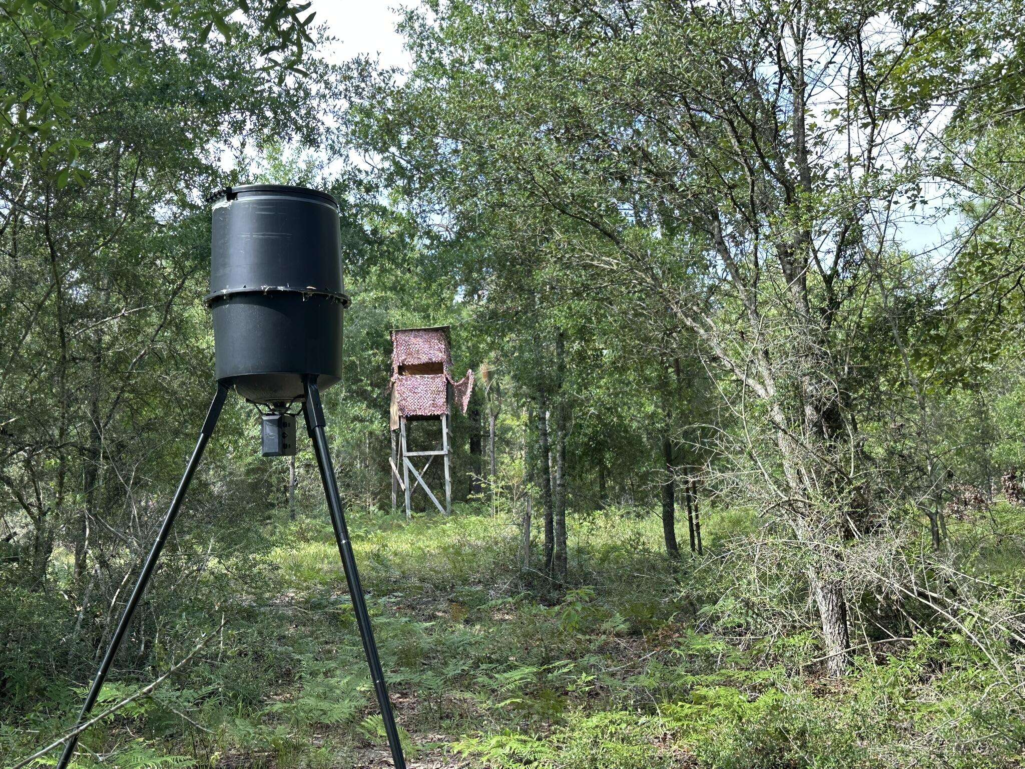 40 ac +/- Old River Road, Baker, FL 32531