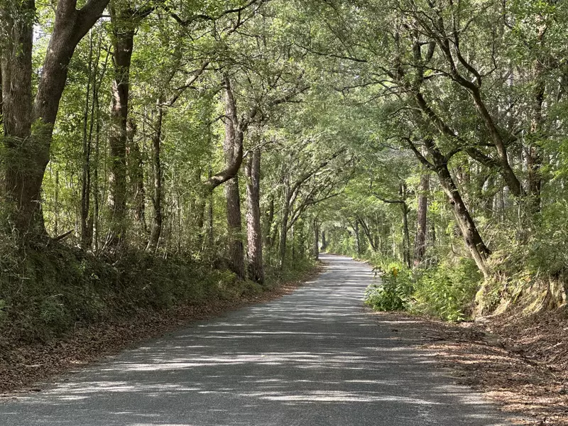 79+/- AC Old River Road, Baker, FL 32531