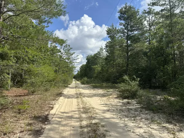 Crestview, FL 32539,10 AC+/- Shot Gun Trail