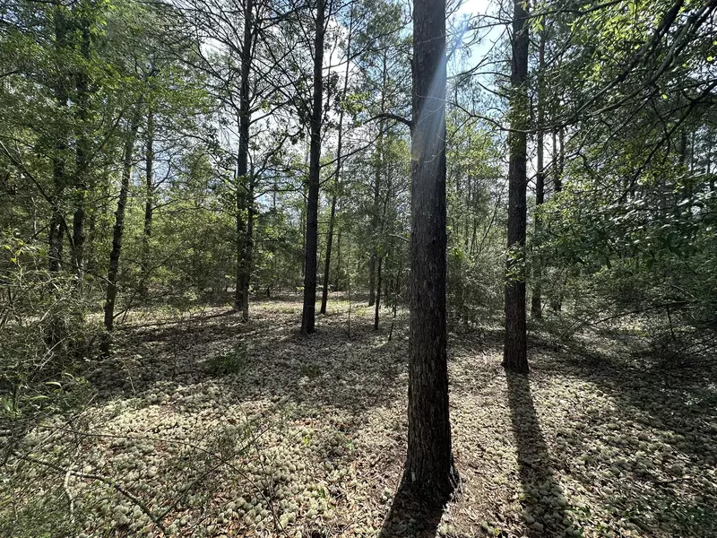 10 AC+/- Shot Gun Trail, Crestview, FL 32539
