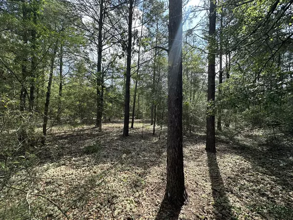 10 AC+/- Shot Gun Trail, Crestview, FL 32539