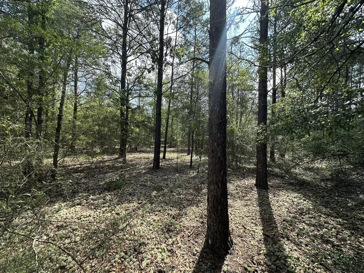 Crestview, FL 32539,10 AC+/- Shot Gun Trail