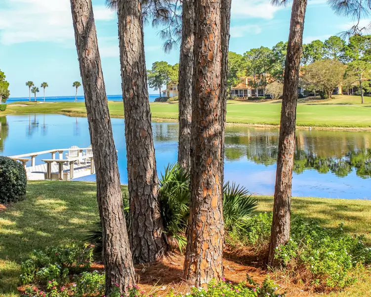 176 Cove Drive, Miramar Beach, FL 32550