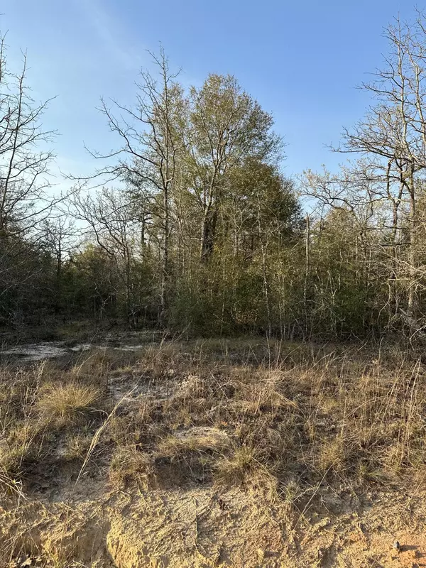 Defuniak Springs, FL 32433,000 Deer Trl Court
