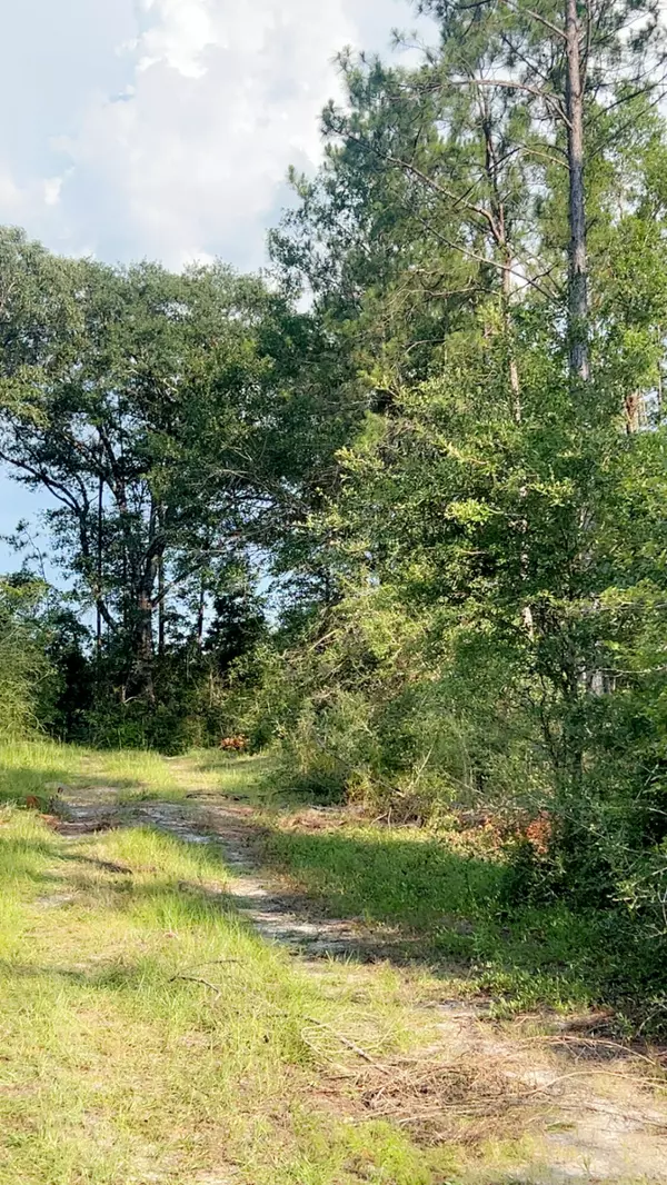 Laurel Hill, FL 32567,363 Acres FL-85