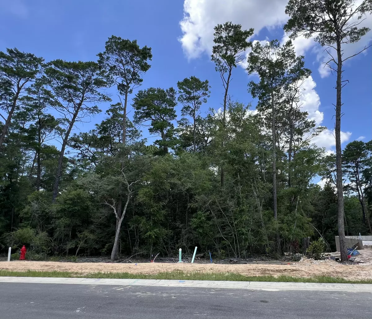 Niceville, FL 32578,239 Foxglove Run