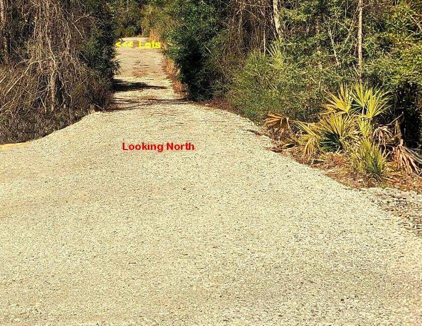 Santa Rosa Beach, FL 32459,Lot 3 Pelayo Avenue