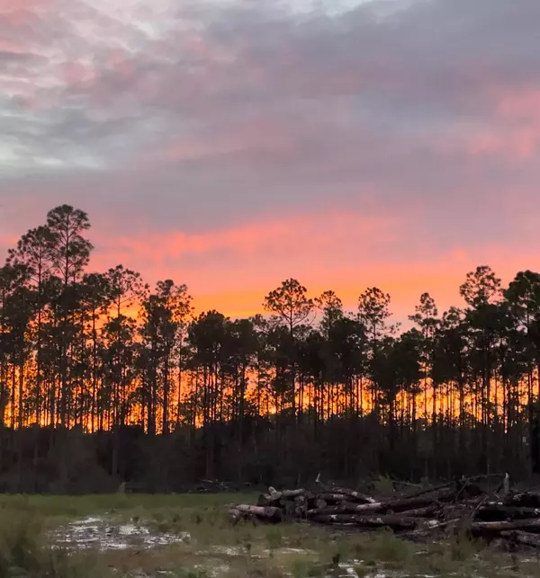 Freeport, FL 32439,1628 Joe Dugger Road